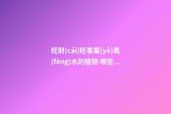 旺財(cái)旺事業(yè)風(fēng)水的植物 哪些植物的風(fēng)水會(huì)比較好